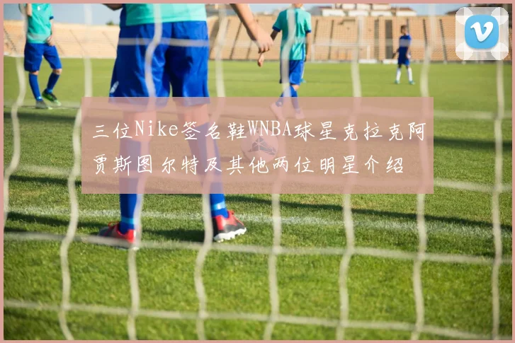 三位Nike签名鞋WNBA球星克拉克阿贾斯图尔特及其他两位明星介绍